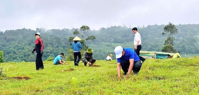 Cán bộ công nhân viên chức, đoàn viên thanh niên và nhân dân trên địa bàn huyện Tuy Đức tham gia trồng cây.