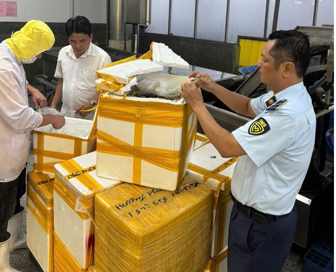 Phát hiện nửa tấn tôm chứa tạp chất agar đang lưu thông trên thị trường tại Kiên Giang