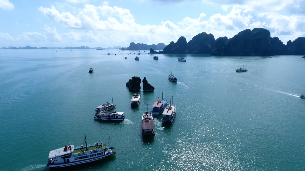 Hoạt động tham quan, lưu trú trên vịnh Hạ Long, vịnh Bái Tử Long nhanh chóng được khôi phục, đảm bảo ATGT.