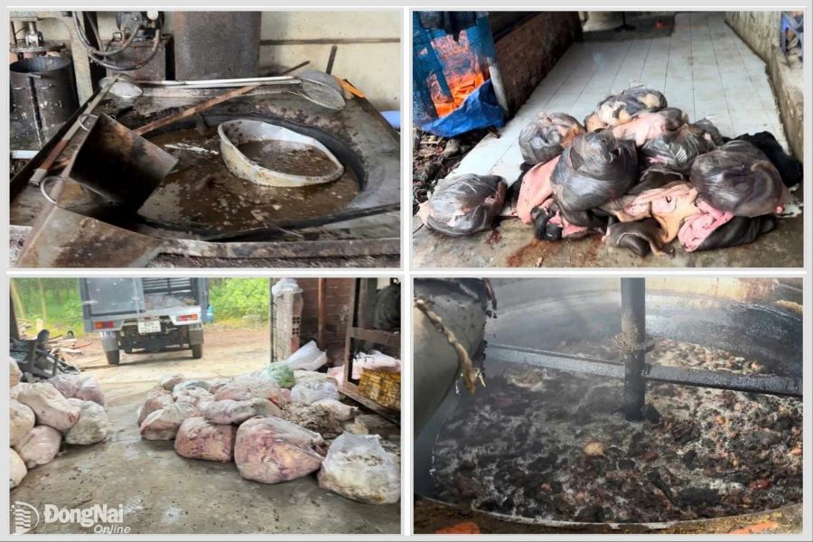 Đồng Nai: Phát hiện cơ sở chế biến mỡ trái phép