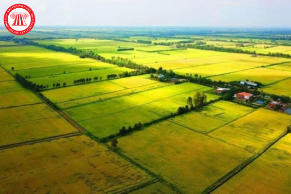 Thủ tục chấp thuận tổ chức kinh tế nhận chuyển nhượng, thuê quyền sử dụng đất... để thực hiện dự án