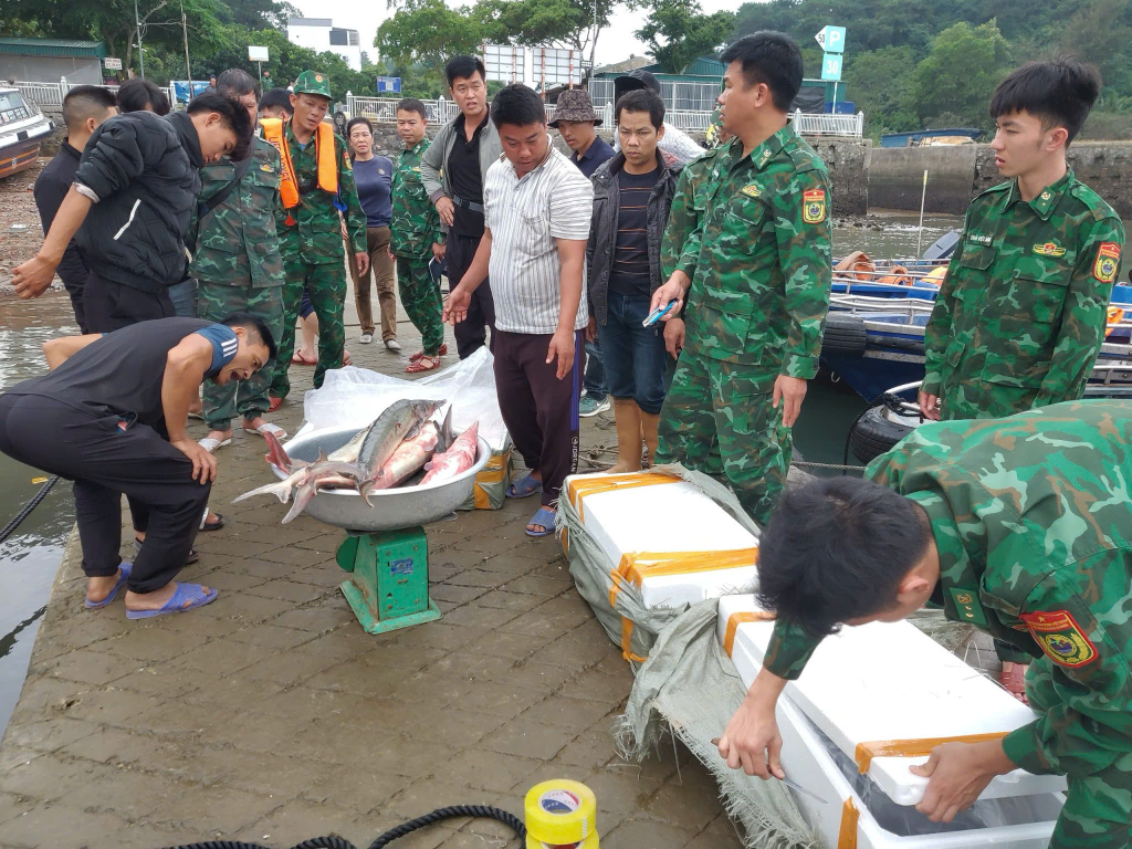 Đồn Biên phòng Cửa khẩu Cảng Vạn Gia bắt giữ đối tượng vận chuyển trái phép 1.592kg cá tầm (tháng 12/2023).