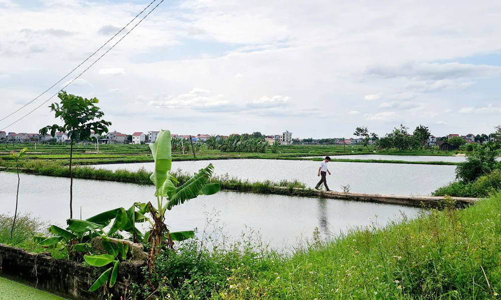 Khu đất nông nghiệp công ích ở xã Hoàng Lương (Hiệp Hòa) do thôn giao thầu từ những năm 1990 nay đã được xác lập hồ sơ quản lý, cho thuê khoán theo Chỉ thị 09.