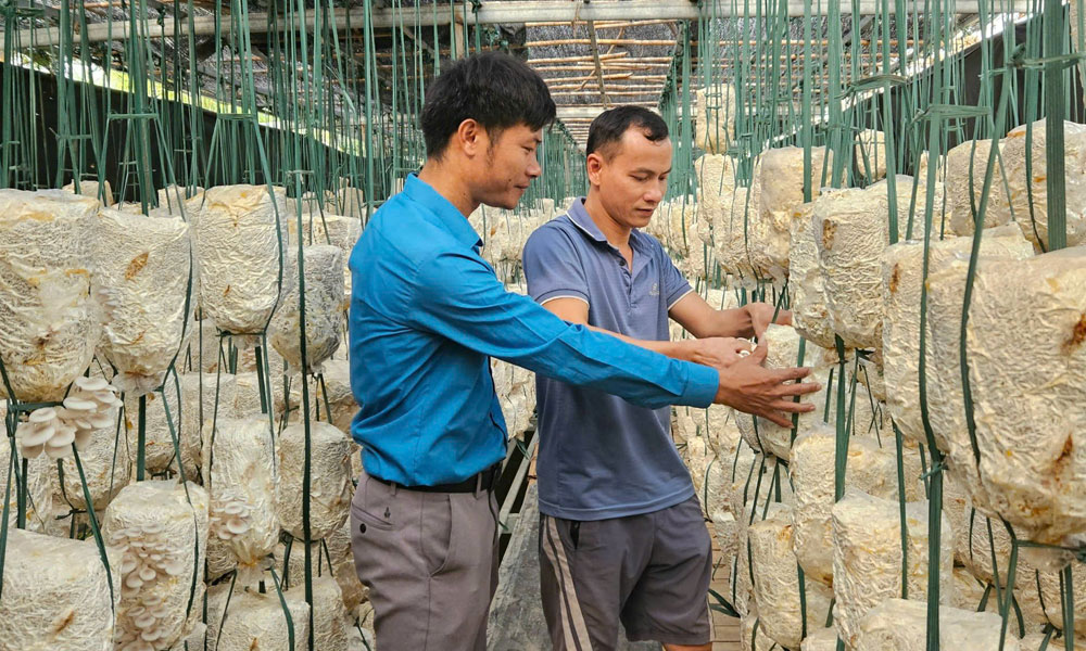 Thông qua các kênh thông tin tuyên truyền, nông dân xã Dĩnh Trì (TP Bắc Giang) đã mạnh dạn đầu tư các mô hình phát triển kinh tế hiệu quả, góp phần giảm nghèo bền vững.