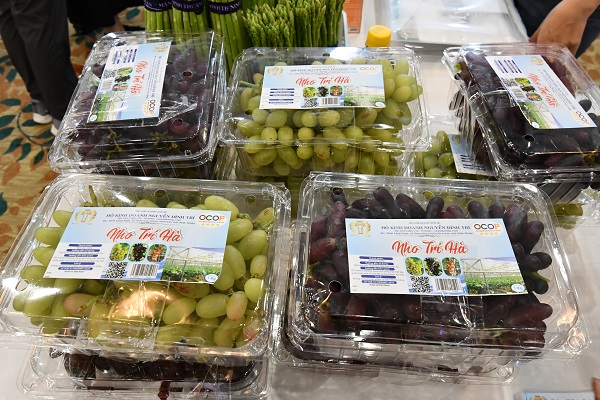 Sản phẩm OCOP Nha Trí Hà của hộ kinh doanh Nguyễn Đình Trí, xã Nhơn Sơn, huyện Ninh Sơn, tỉnh Ninh Thuận