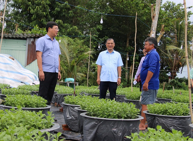 Bí thư Tỉnh ủy Lê Quốc Phong (bìa trái) thăm nhà vườn Tạ Văn Cảnh ở xã Tân Khánh Đông, TP Sa Đéc