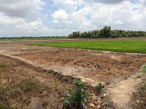 Quy định mới về hạn mức nhận chuyển quyền sử dụng đất nông nghiệp tại Đồng Nai