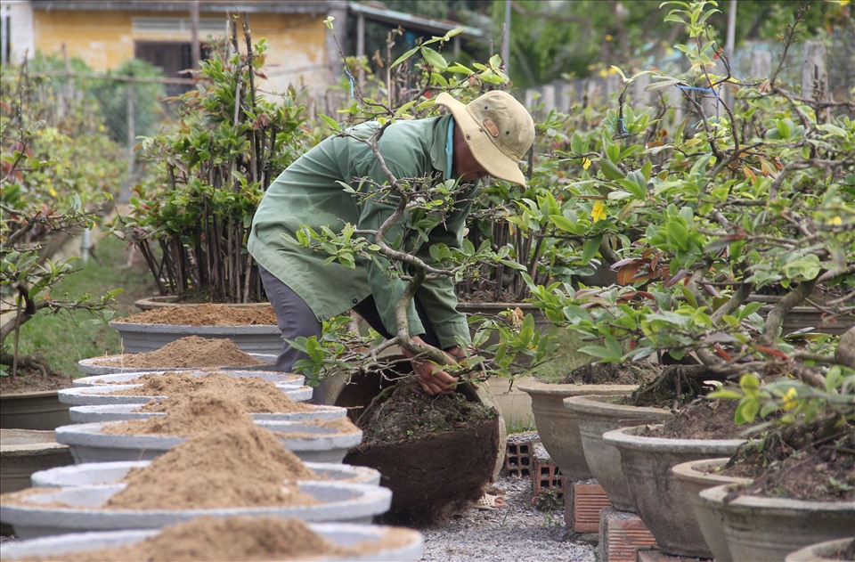 TP. Hồ Chí Minh có làng nghề, nghề truyền thống theo chuẩn Trung ương
