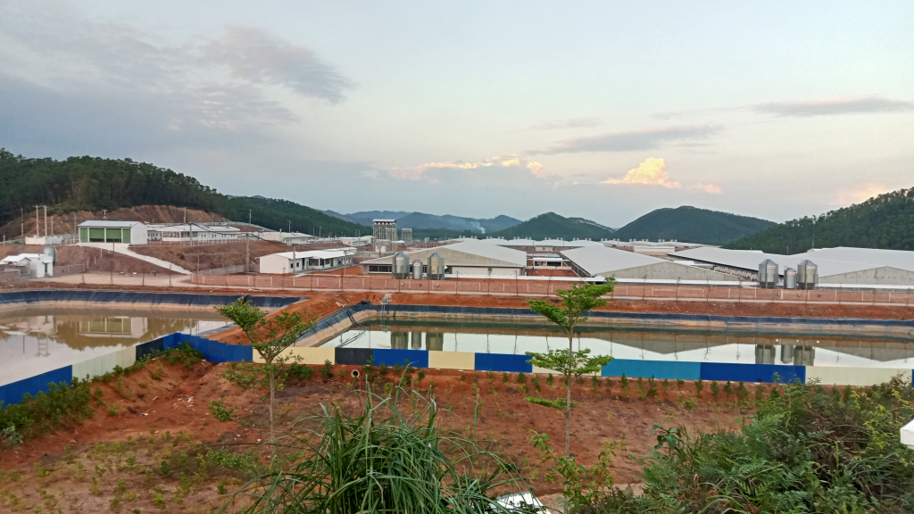Dự án Trang trại chăn nuôi lợn công nghệ cao Quảng Sơn sẽ vận hành vào cuối tháng 10