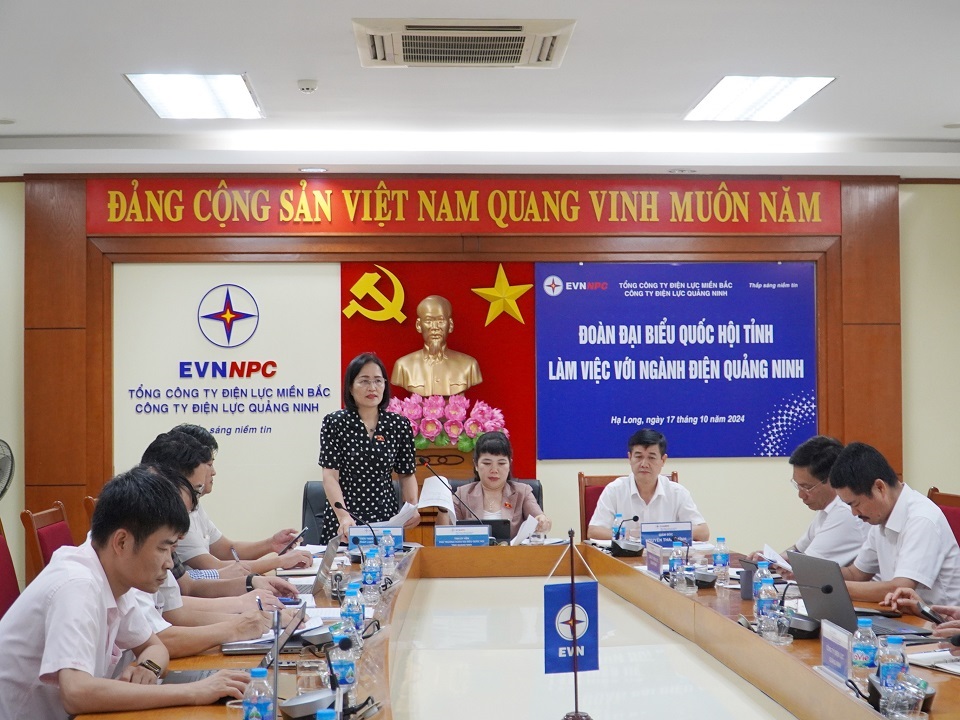 Ủy viên Thường trực Ủy ban Pháp luật của Quốc hội Trần Thị Kim Nhung phát biểu tại buổi làm việc.