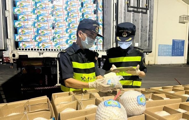 Những lô dừa tươi Việt Nam đầu tiên có mặt tại thị trường Trung Quốc