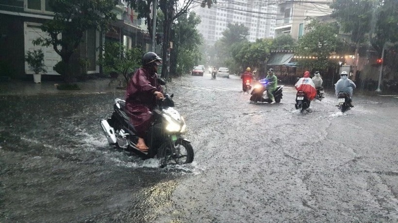 Dự báo, Quảng Trị đến Quảng ngãi có mưa lớn, lượng mưa trên 700mm