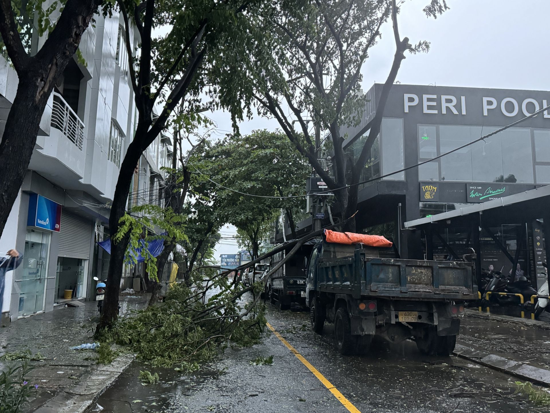 Cây ngã đổ ở quận Thanh Khê, Đà Nẵng