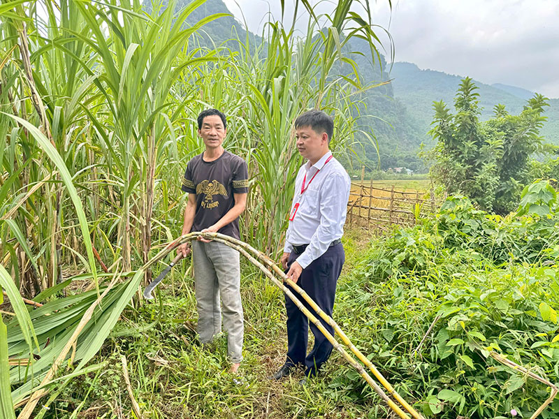 Cán bộ Agribank Bá Thước rà soát, kiểm tra các hộ dân Thiết Kế (Bá Thước) bị ảnh hưởng do mưa lũ để thực hiện giảm lãi suất cho vay.