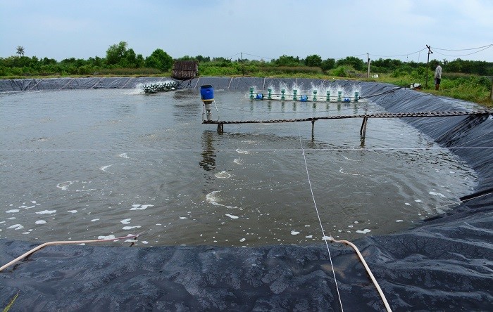 Theo dõi chặt chẽ diễn biến thời tiết, kịp thời khuyến cáo người nuôi ứng phó hiệu quả với điều kiện môi trường nuôi có diễn biến bất lợi.