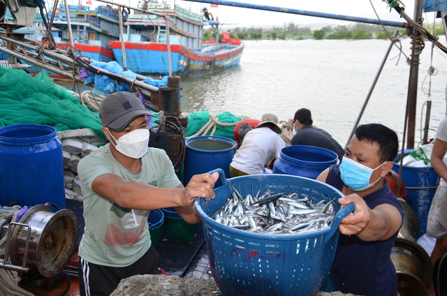 Xử lý dứt điểm các tồn tại, hạn chế kéo dài liên quan đến chống khai thác IUU. Ảnh internet.