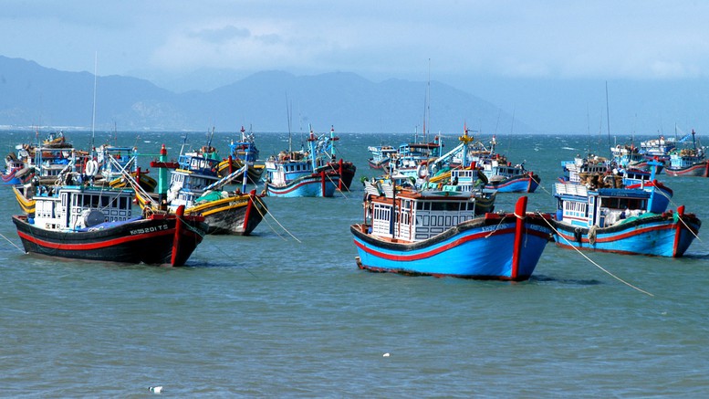 Xử lý dứt điểm các tồn tại, hạn chế kéo dài liên quan đến chống khai thác IUU. Ảnh internet.