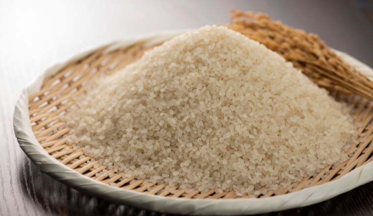 Giá lúa gạo hôm nay 5/11: Giá lúa biến động trái chiều, giá gạo giảm nhẹ