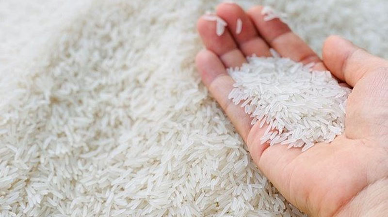 Giá lúa gạo hôm nay 8/11: Đồng loạt tăng giá