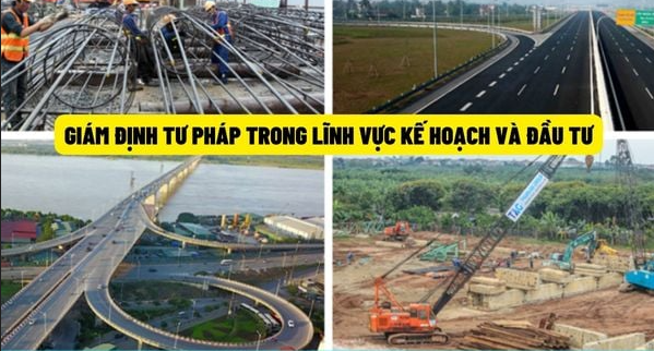 Giám định viên tư pháp cần có thời gian hoạt động chuyên môn ở lĩnh vực được đào tạo từ đủ 05 năm trở lên tính từ ngày bổ nhiệm ngạch công chức, viên chức trong lĩnh vực kế hoạch và đầu tư