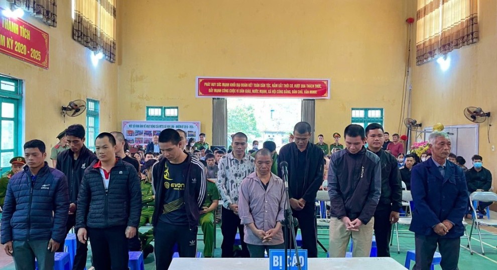 Lạng Sơn: Thỏa thuận trộm cắp cây cảnh giá trị cao, 12 bị cáo lĩnh án