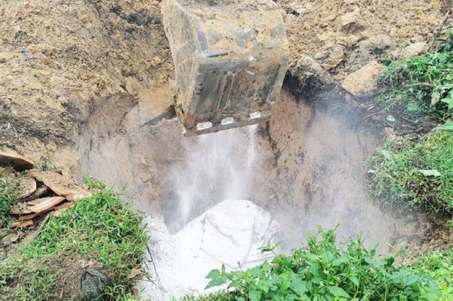 Tiêu hủy một con bò chết do bị viêm da nổi cục ở Lộc Hà (tháng 3/2024).