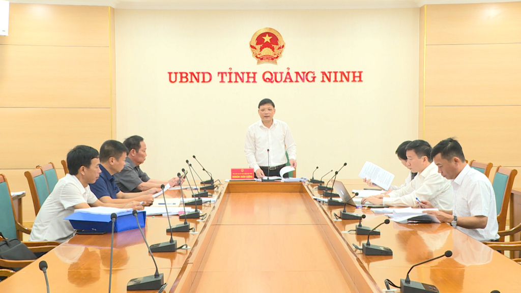 Ông Nghiêm Xuân Cường, Phó Chủ tịch UBND tỉnh Quảng Ninh, phát biểu tại cuộc họp.