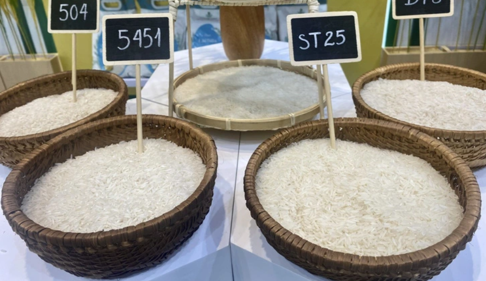 Giá lúa gạo hôm nay 13/11: Tiếp tục biến động trái chiều