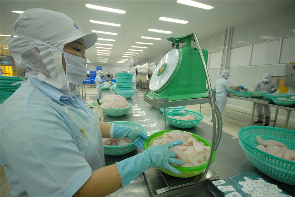 Năm 2024 xuất khẩu cá tra của Việt Nam có thể đạt 2 tỷ USD