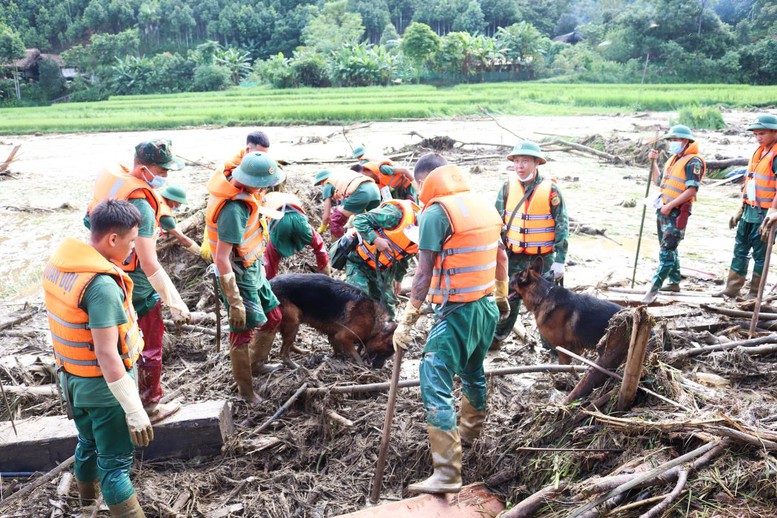 Đội chó nghiệp vụ BĐBP phối hợp với cán bộ, chiến sĩ Quân khu 2 tham gia công tác tìm kiếm