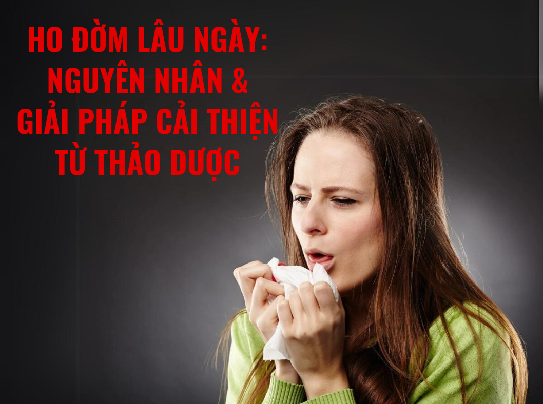 Nguyên nhân ho đờm lâu ngày không dứt và giải pháp cải thiện từ Bảo Phế Vương