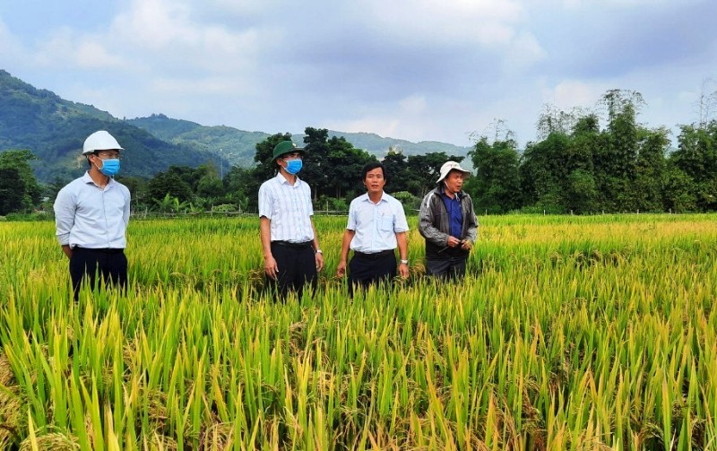 Kiểm tra đồng ruộng A Lưới