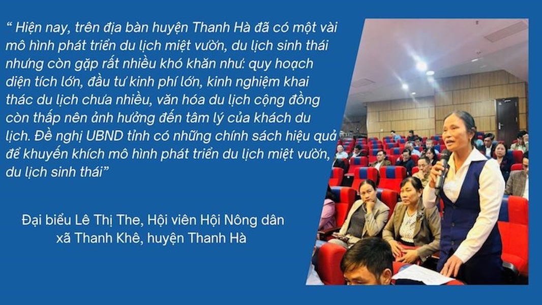 Đại biểu Lê Thị The phát biểu tại hội nghị