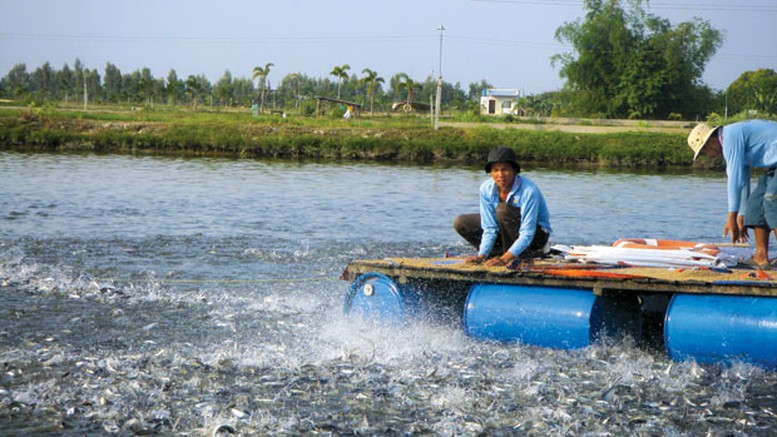 Sản xuất, nuôi trồng thủy sản để đảm bảo kế hoạch tăng trưởng