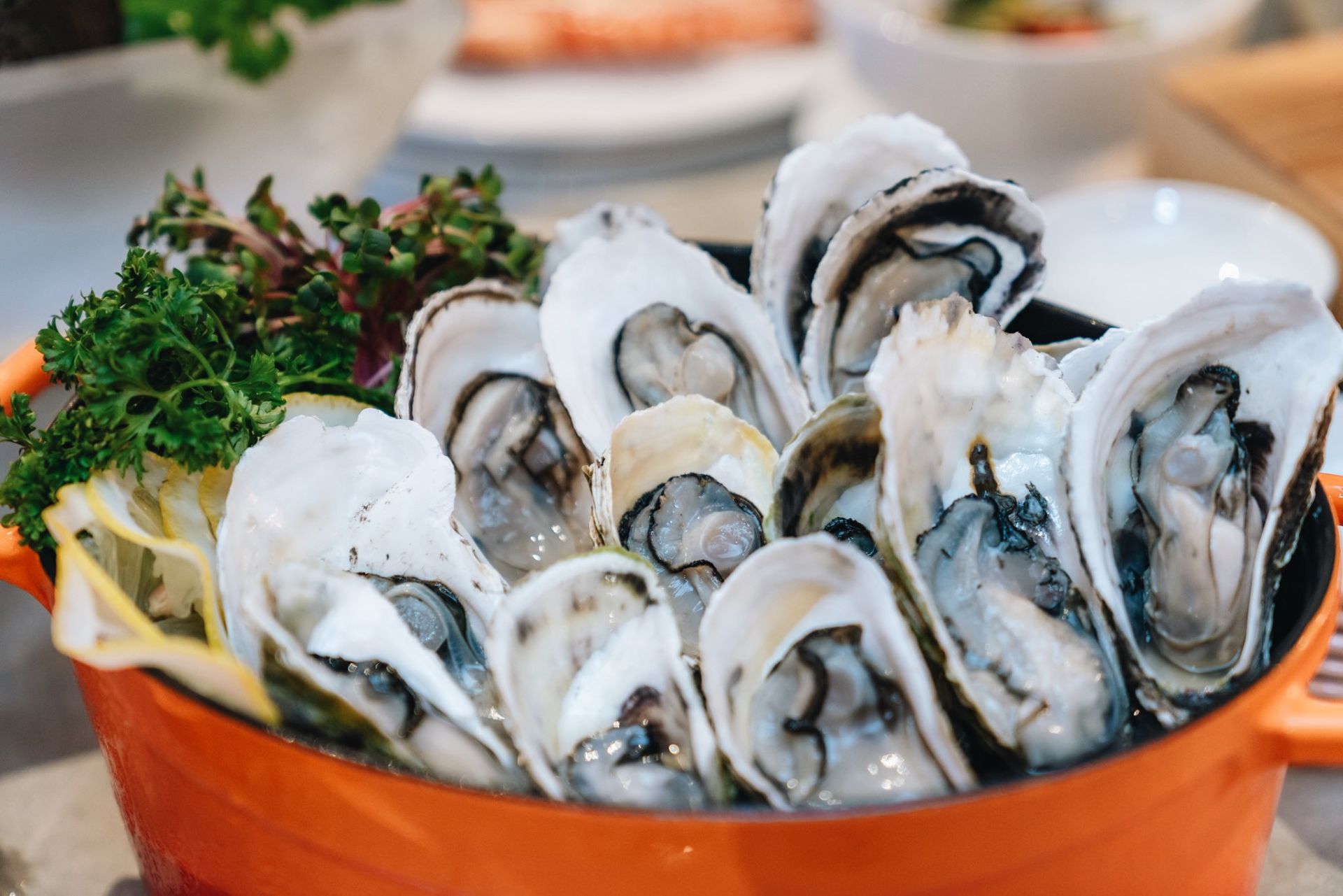 Thưởng thức hải sản tươi ngon Hạ Long tiếp thêm năng lượng cho hành trình khám phá