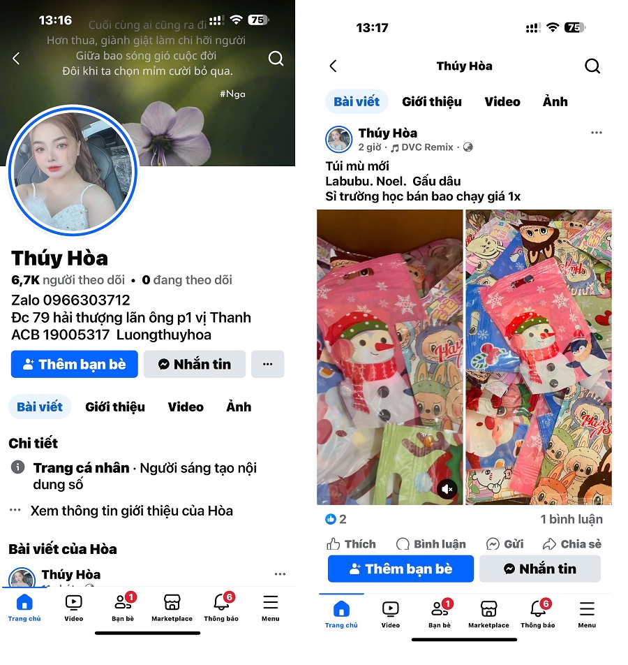 Facebook Thúy Hòa, giới thiệu, bán sản phẩm túi mù