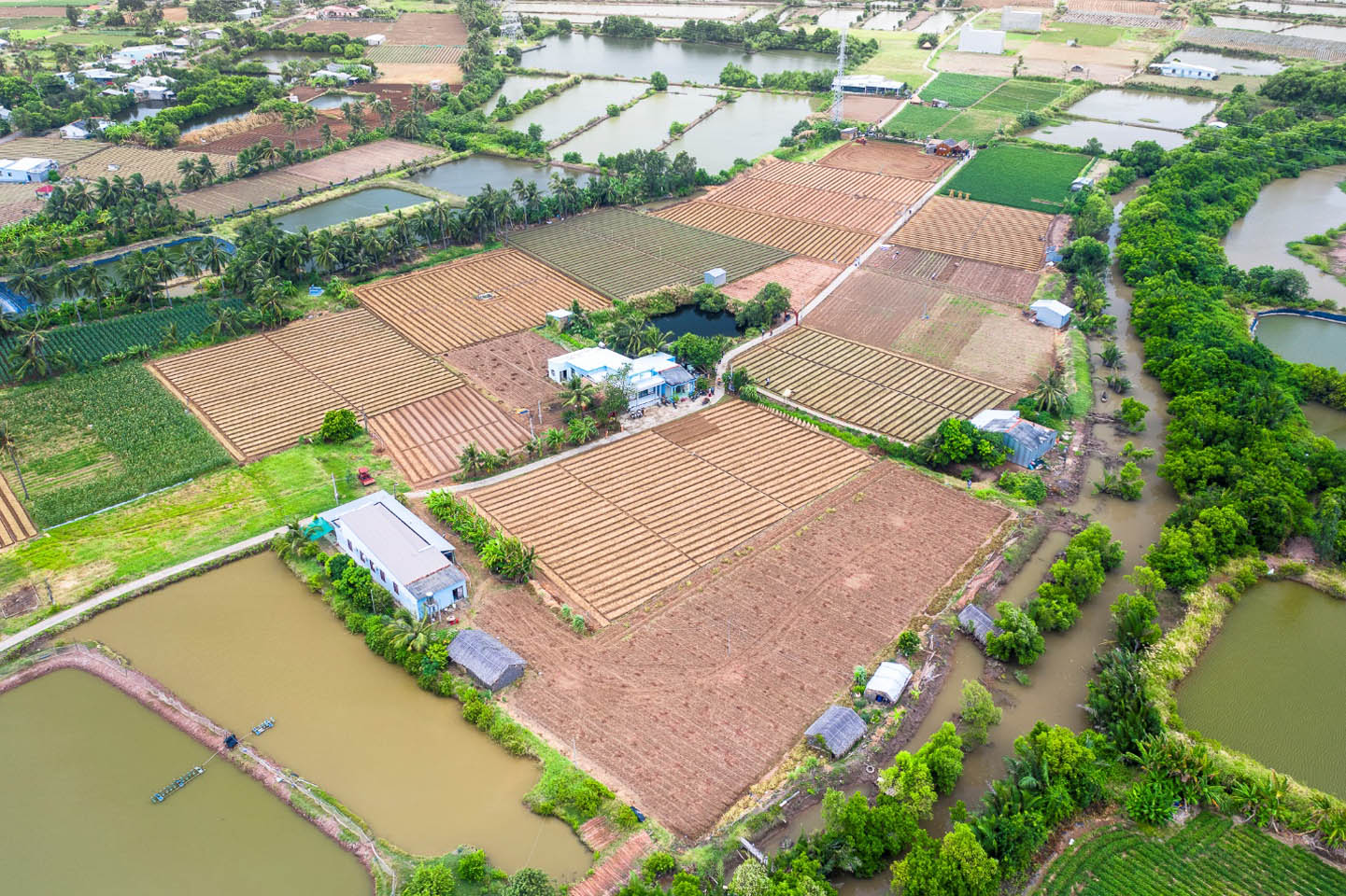 Cồn Ông thuộc xã Dân Thành, thị xã Duyên Hải, tỉnh Trà Vinh có diện tích tự nhiên trên 1.000 hecta