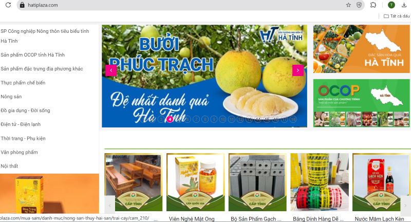 Sàn thương mại điện tử Hà Tĩnh https://hatiplaza.com bày bán hơn 690 sản phẩm đặc trưng của Hà Tĩnh và các địa phương khác.