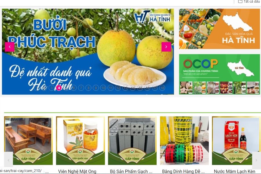 Hơn 690 sản phẩm lên sàn thương mại điện tử Hà Tĩnh