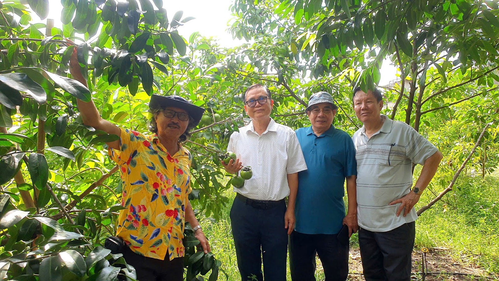 Lão nông trồng cây độc lạ ở Việt Nam