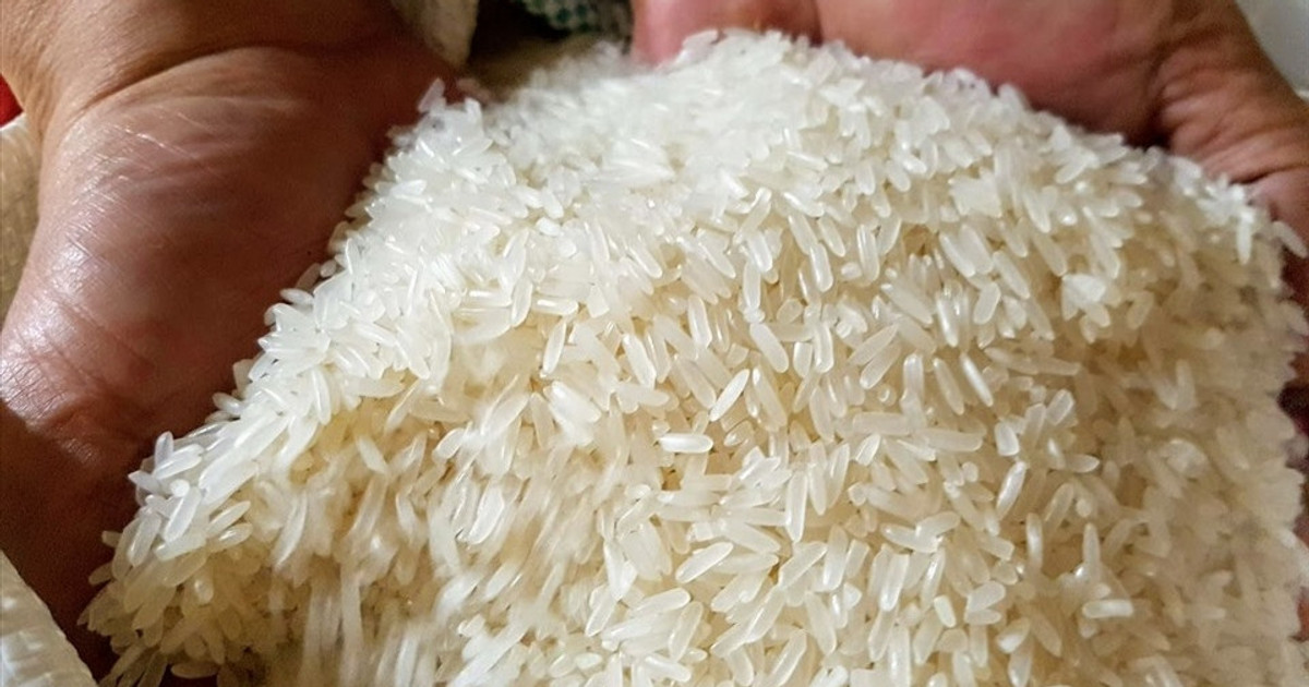 Giá lúa gạo hôm nay 7/12: Thị trường lúa tươi giá neo cao