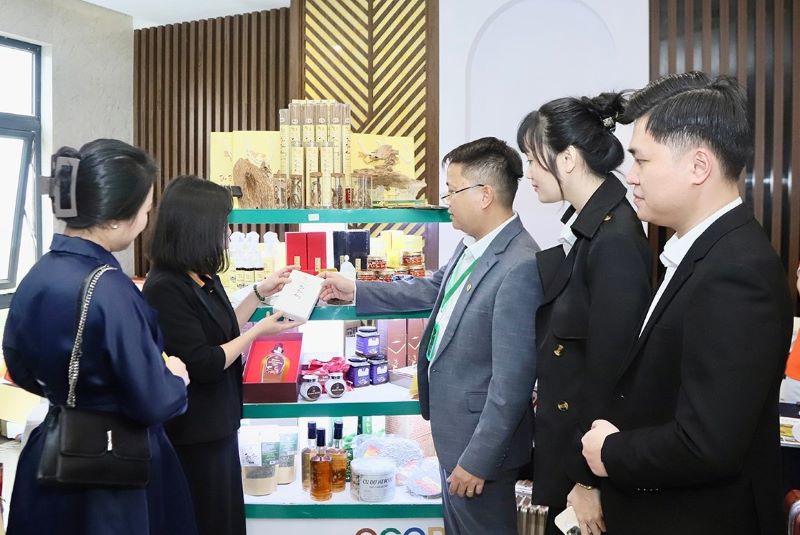 Các đại biểu tham quan khu vực trưng bày các sản phẩm OCOP tiêu biểu của Hà Tĩnh. Các đại biểu tham quan khu vực trưng bày các sản phẩm OCOP tiêu biểu của Hà Tĩnh.