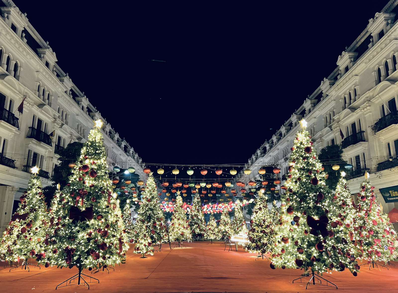 Vườn thông lớn nhất và lung linh ánh đèn tại KĐT Danko City