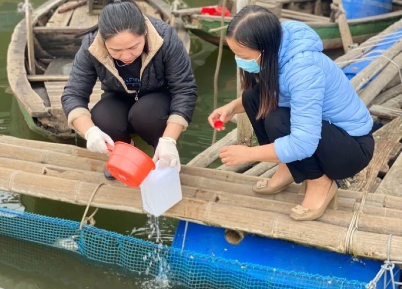 Sau khi nhận được thông tin cơ quan chuyên môn hà tĩnh đã tiến hành lấy mẫu nước tại hồ nuôi để gửi đi phân tích.