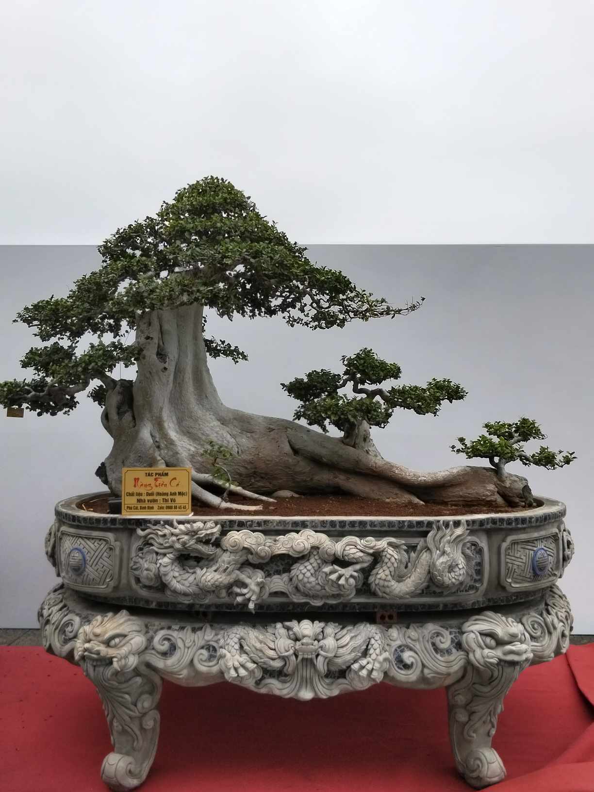 Kiệt tác cổ có tên Nàng tiên cá của nhà vườn Thi Võ. Kiệt tác cổ có tên Nàng tiên cá của nhà vườn Thi Võ.