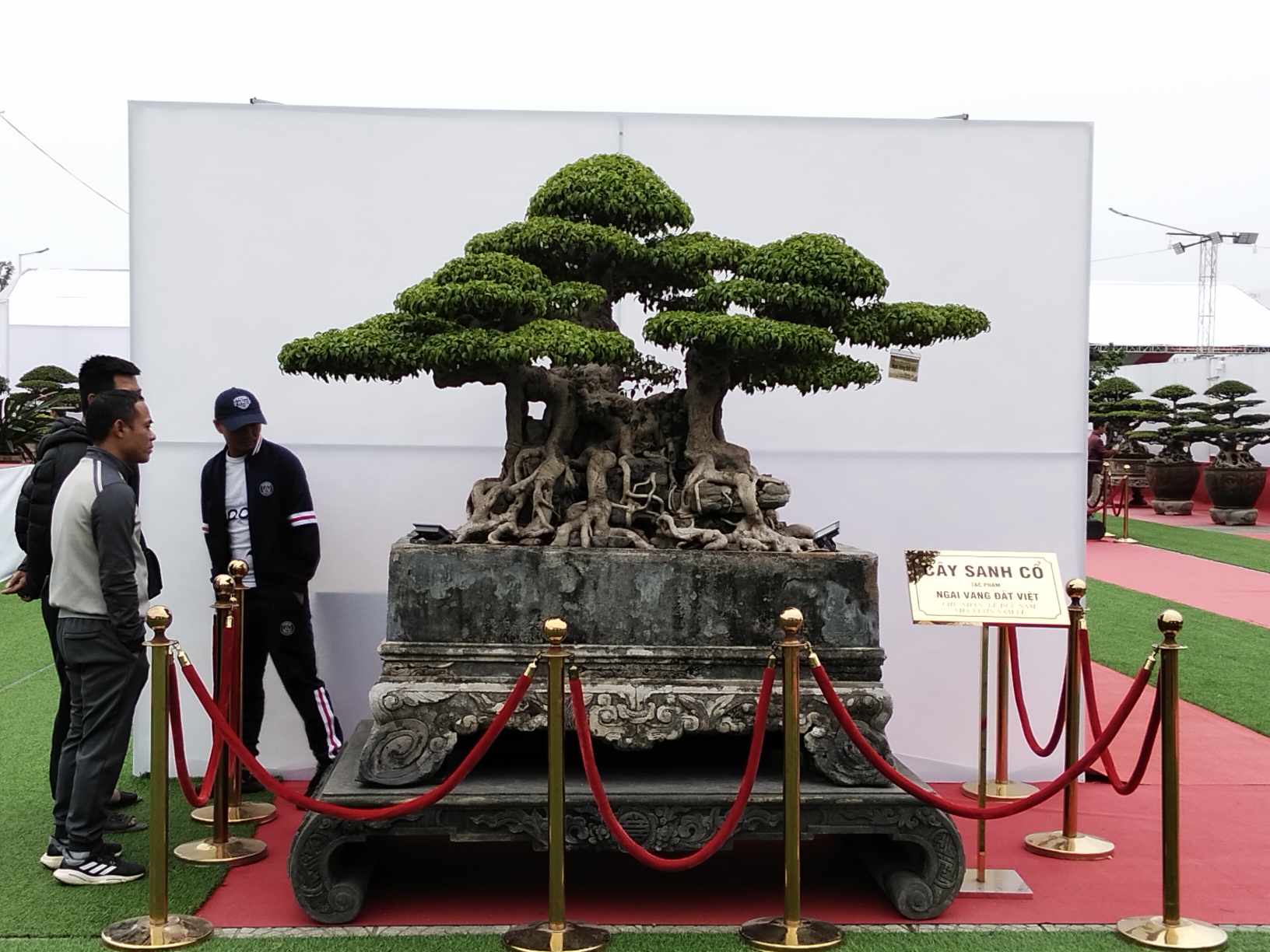 Tác phẩm Sanh cổ “Ngai vàng đất Việt” thu hút nhiều khách tham quan. Tác phẩm Sanh cổ “Ngai vàng đất Việt” thu hút nhiều khách tham quan.