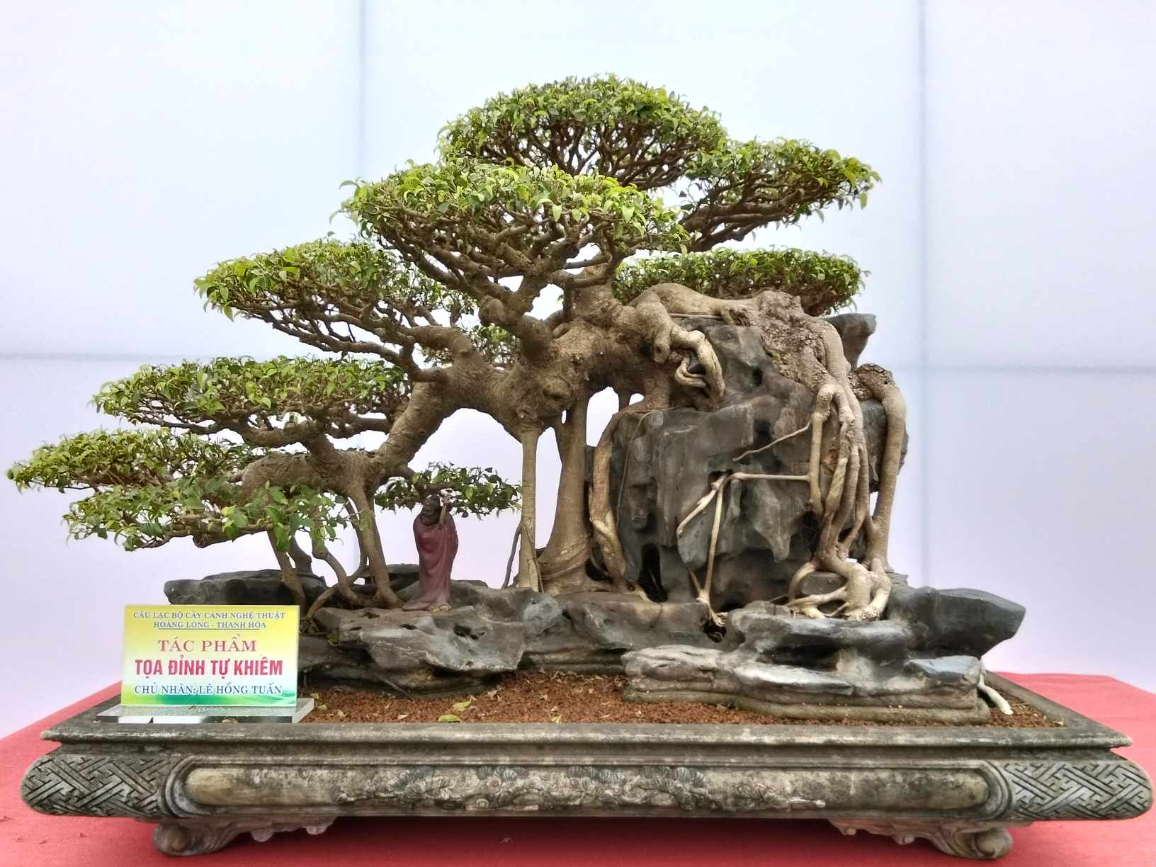 Tác phẩm “Tọa đỉnh tự khiêm” tác giả Lê Hồng Tuấn, hội tụ đầy đủ 3 yếu tố “cổ, kỳ, mỹ văn” của một cây cảnh đẹp. Tác phẩm “Tọa đỉnh tự khiêm” tác giả Lê Hồng Tuấn, hội tụ đầy đủ 3 yếu tố “cổ, kỳ, mỹ văn” của một cây cảnh đẹp.