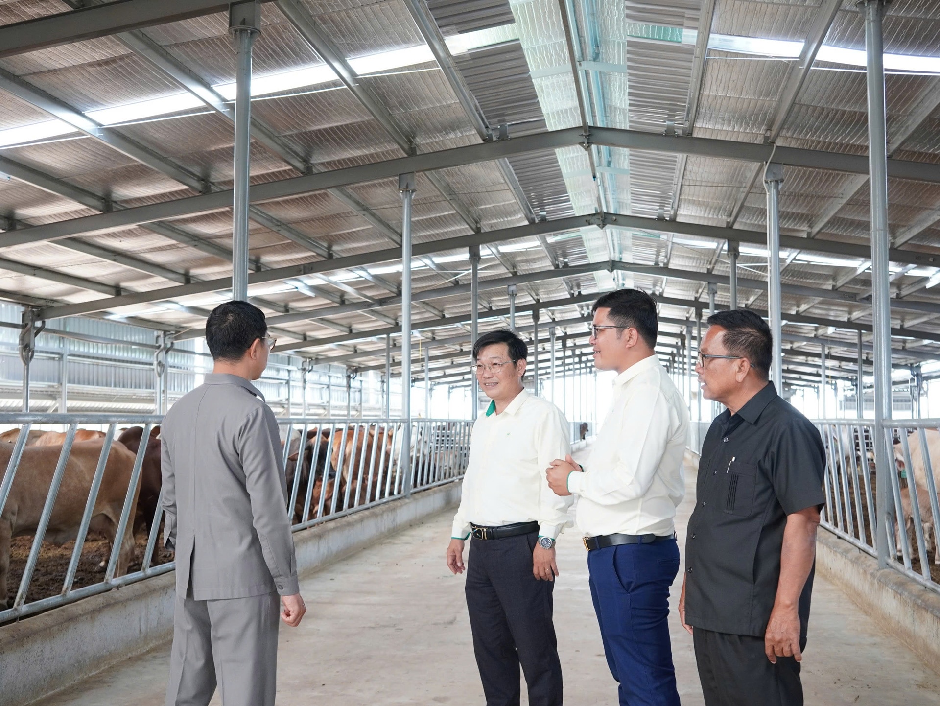 Đoàn tham quan Xí nghiệp Chăn nuôi Bò