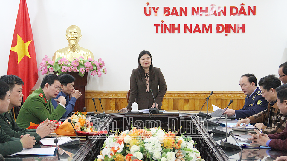 Phó Chủ tịch UBND tỉnh, Trưởng ban chỉ đạo 389 Nam Định, Hà Lan Anh