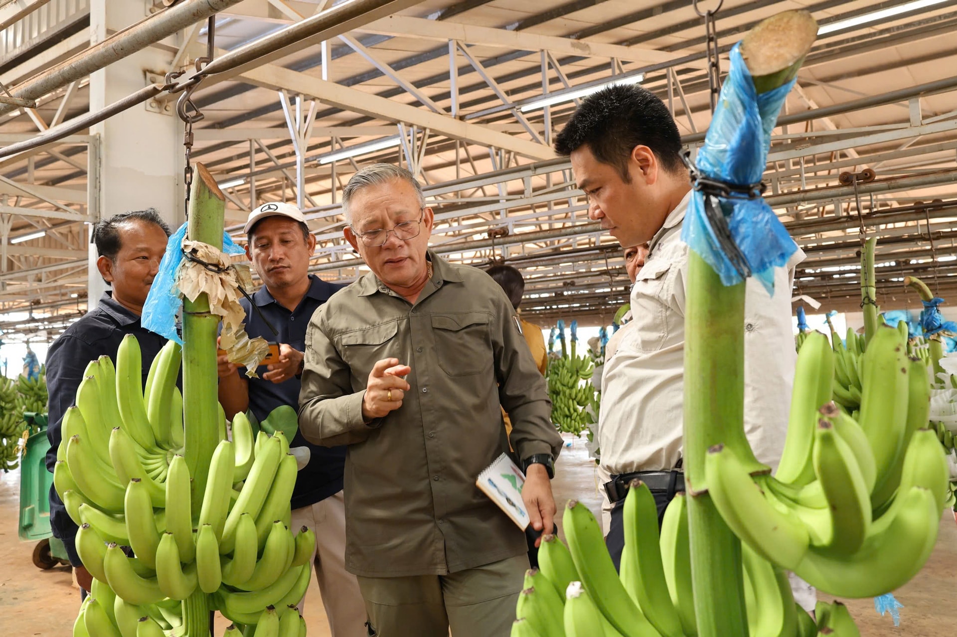 Ngài Hean Vanhorn tham quan Xưởng đóng gói Xí nghiệp Chuối DP2